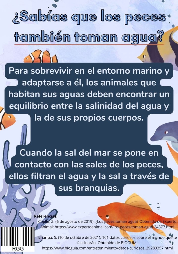 los peces beben agua-ruth garcia